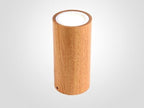 Dru - Modern Nordic LED Ceiling Lights